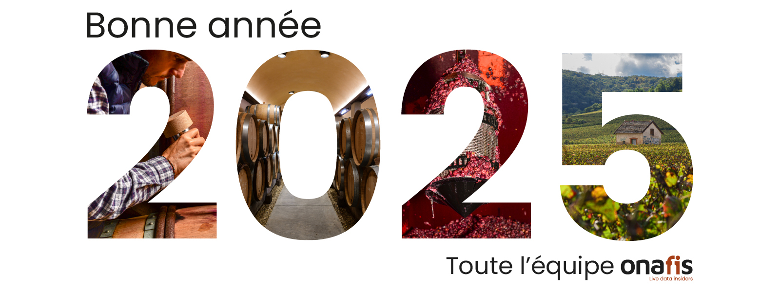 ONAFIS vous souhaite une bonne année 2025 !