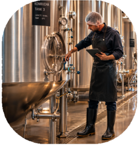 industrie kombucha